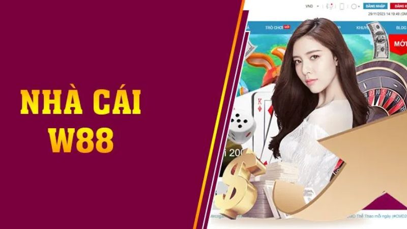 Nhà cái có những ưu nhược điểm nhất định