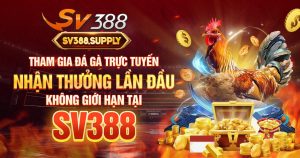 Đánh giá SV388 – Trải nghiệm hệ thống đá gà trực tuyến